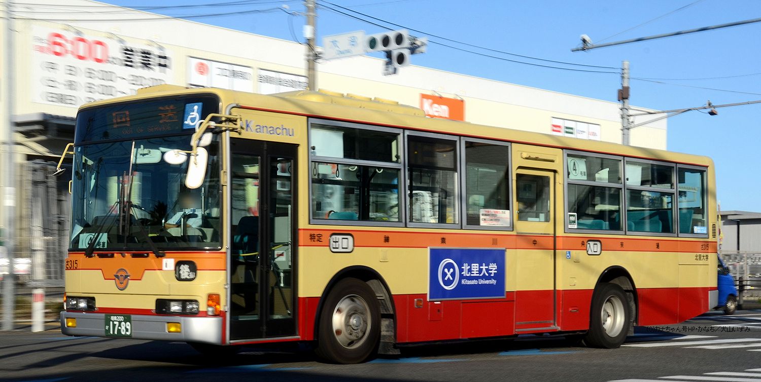 パステム中学 パステム中学 WCS C220 84D STEM | 株式会社フカヤ